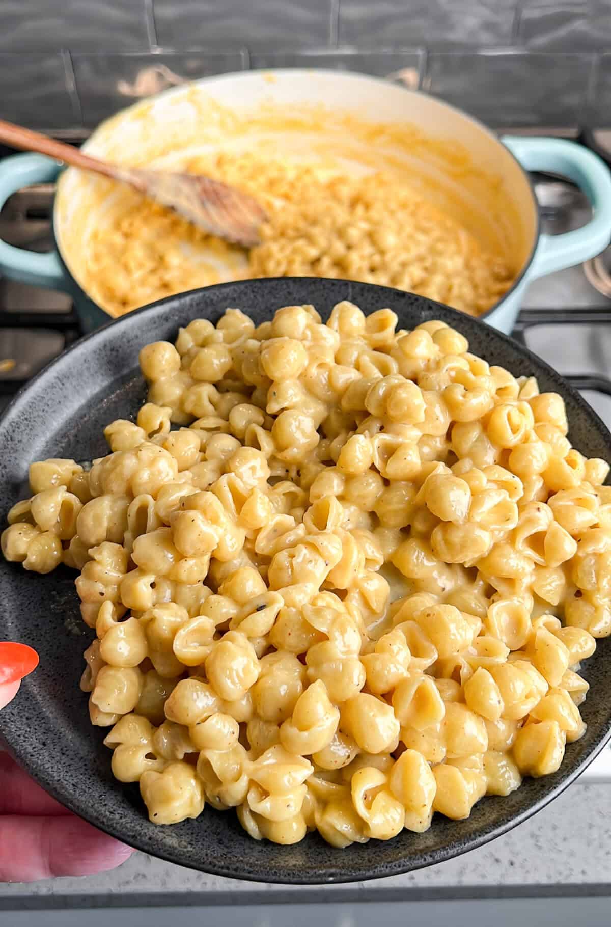 macaroni and cheese shells on a plate
