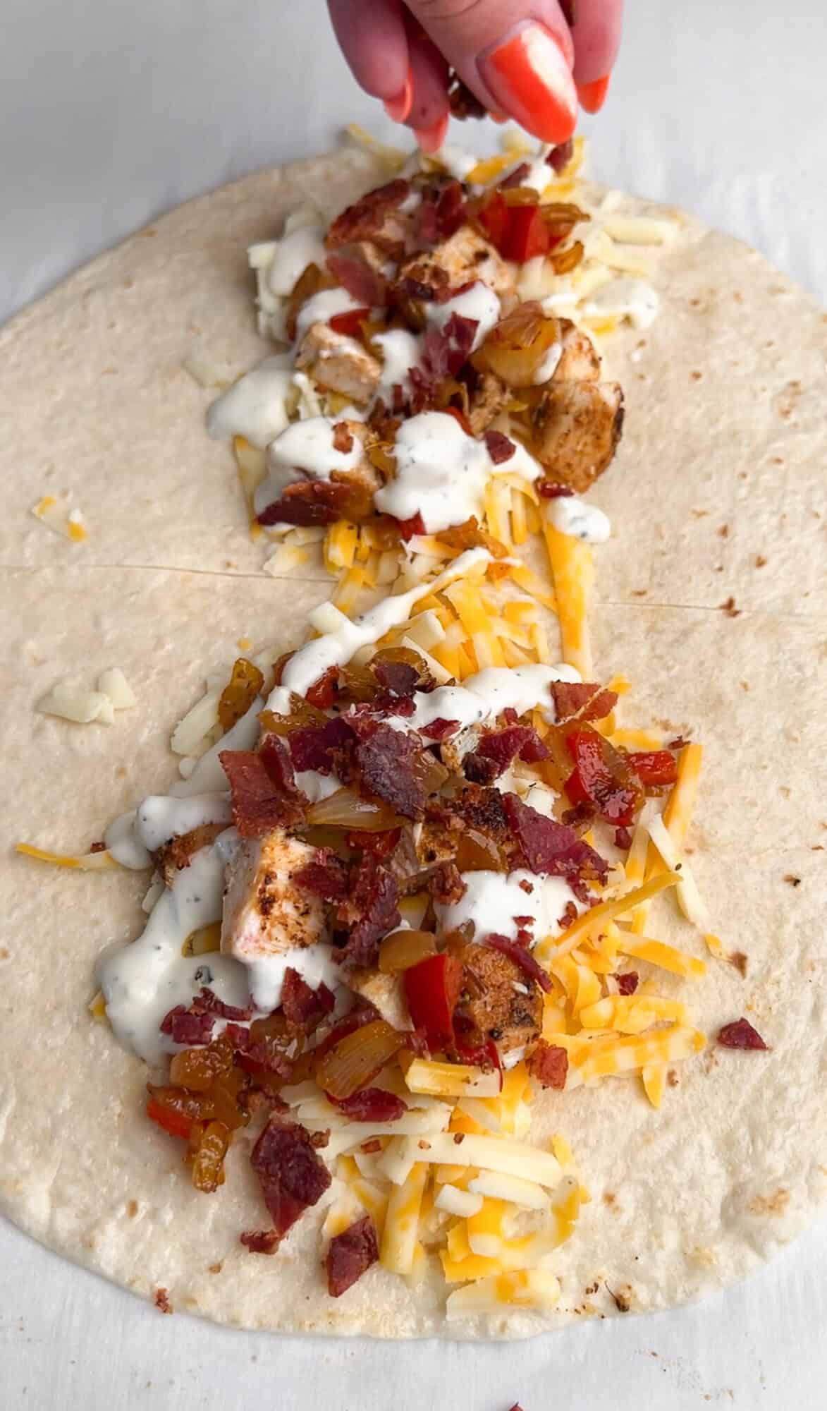 filling on the inside of a pizzadilla