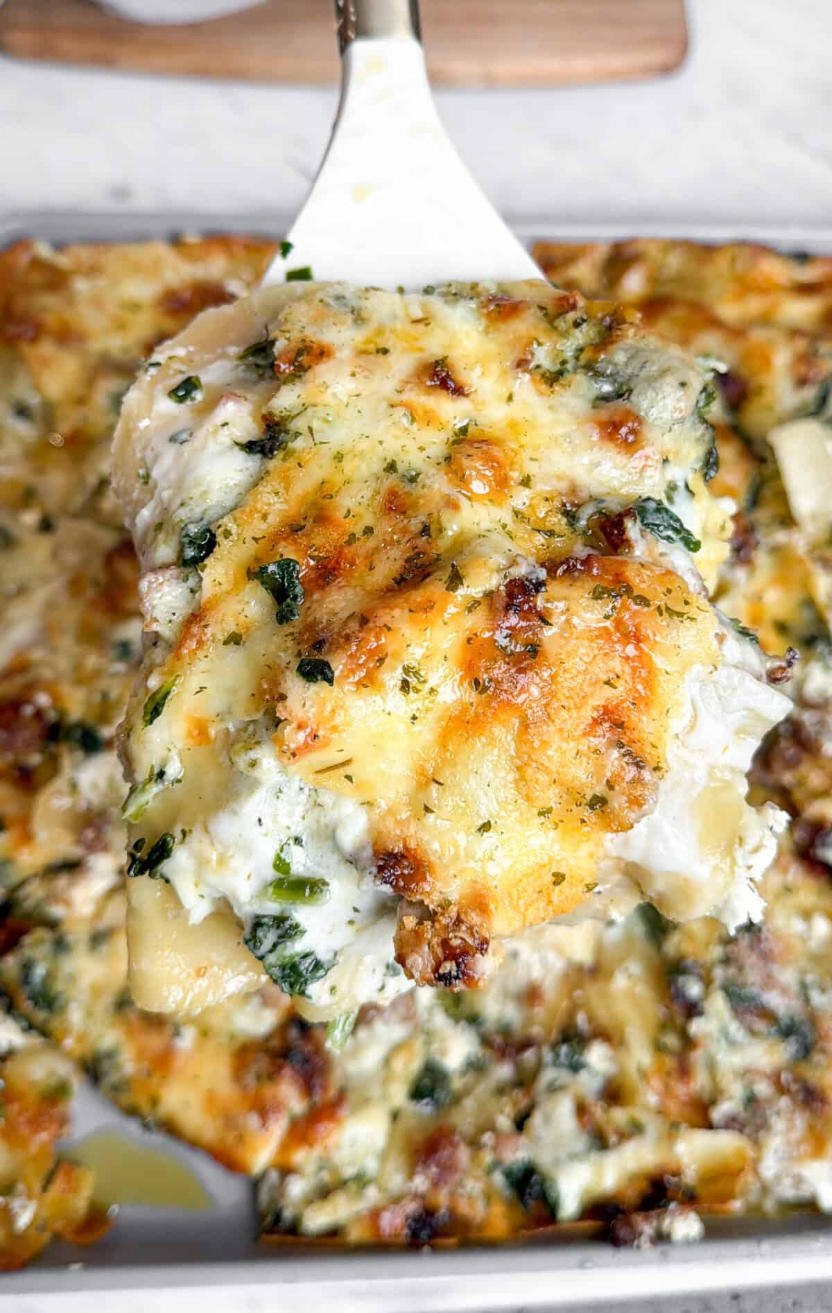 lasagna on a serving spatula
