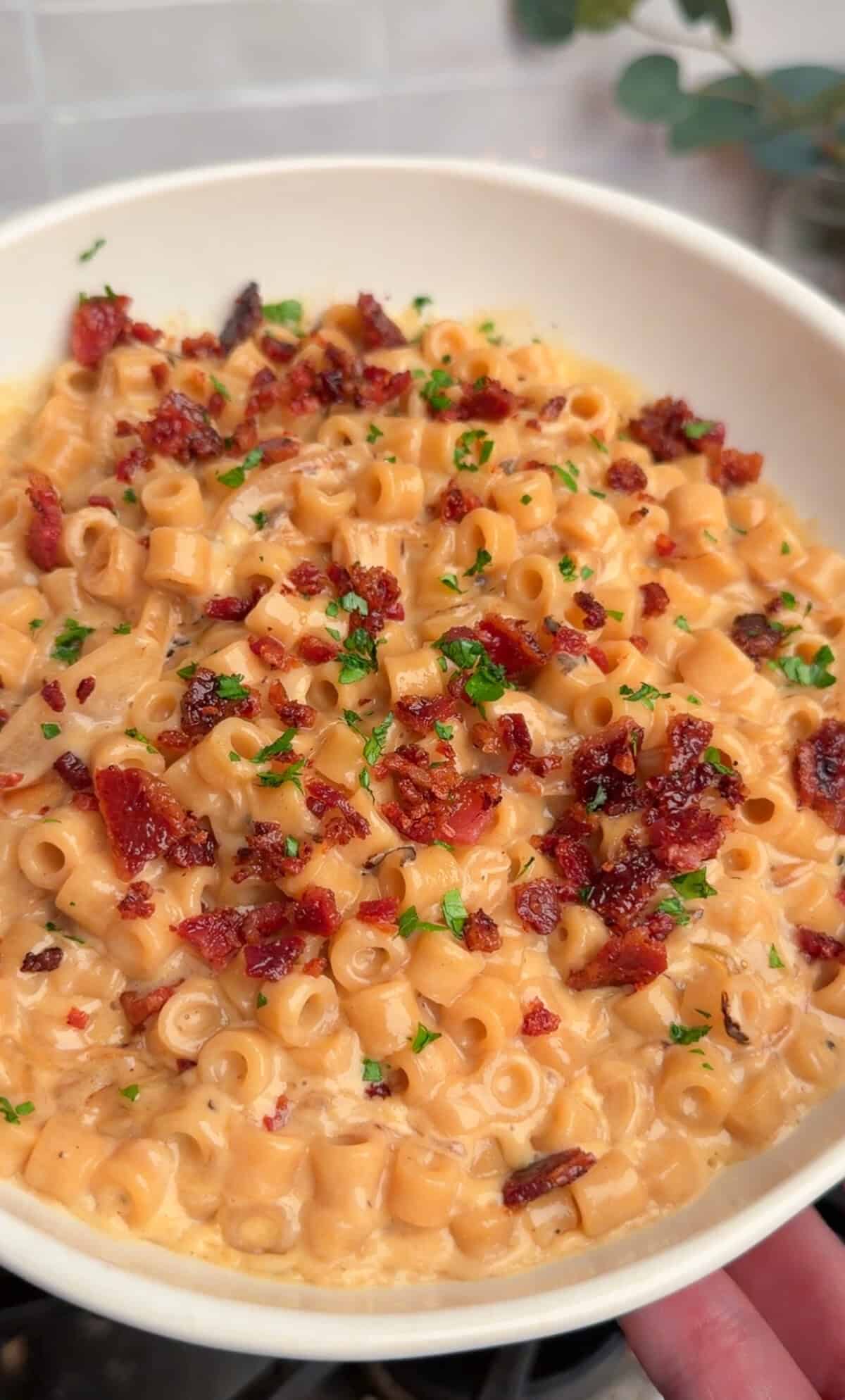 a bowl of french onion mac and cheese with bacon