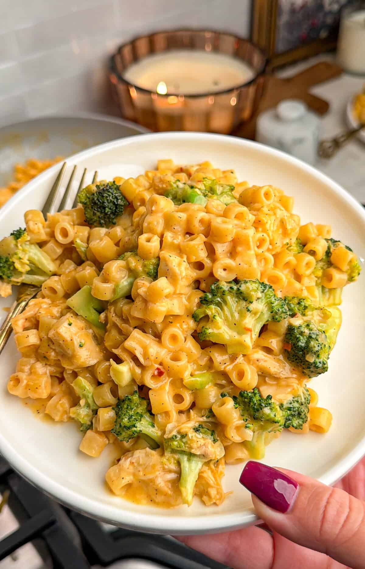 broccoli cheddar pasta with chicken on a plate