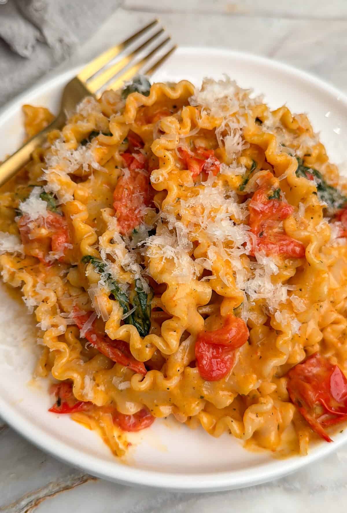 a plate of creamy tomato pasta with mafaldine pasta